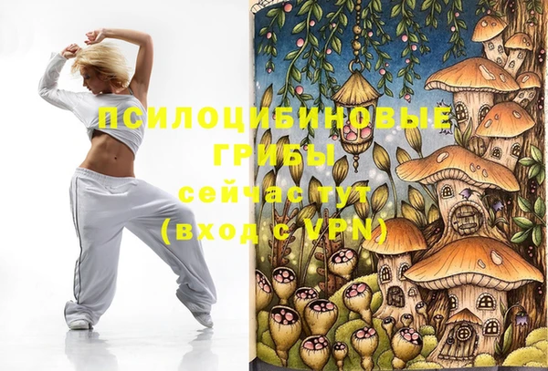 mix Абаза